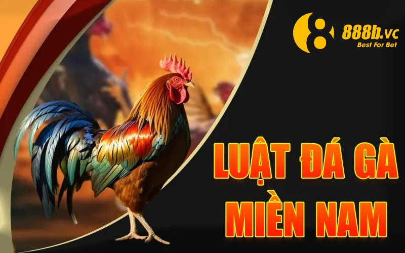 Luật đá gà tại miền Nam