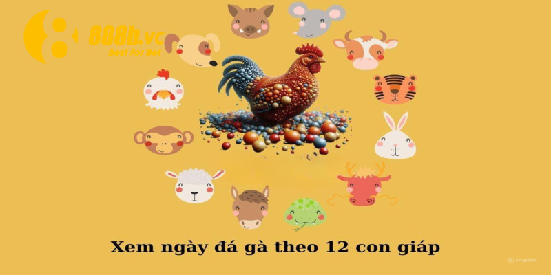 Dựa vào 12 con giáp để có thể xem ngày đá gà siêu chuẩn