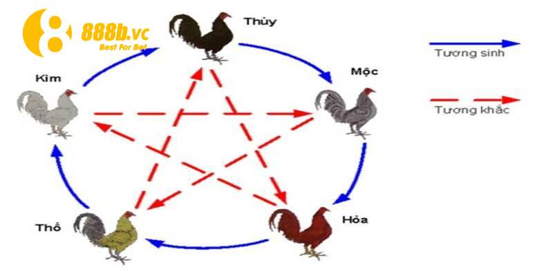 Dựa vào quy luật ngũ hành xem ngày đá gà chuẩn cũng là phương pháp hay