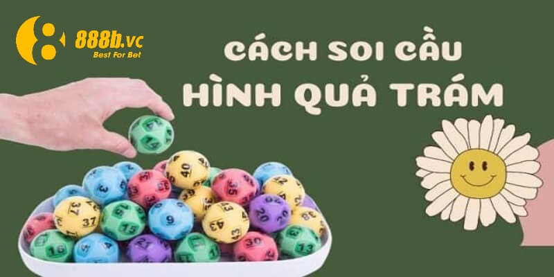 Dạng quả trám khá hiếm khi xuất hiện