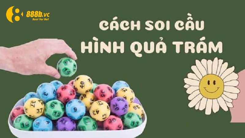 Phương pháp hình quả trám dựa theo XSMB tra cứu tổng hợp đem lại nhiều cơ hội trúng giải